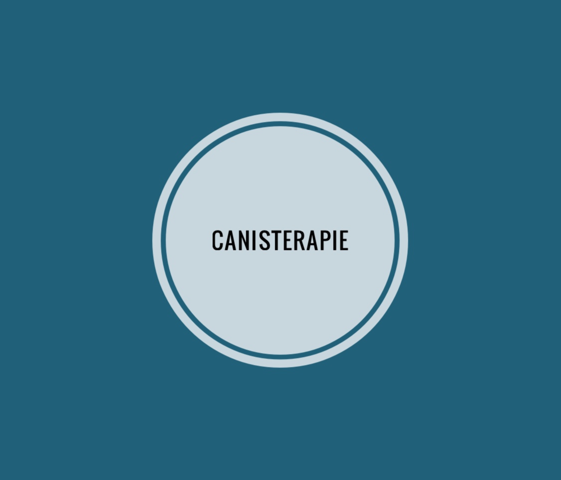 Canisterapie